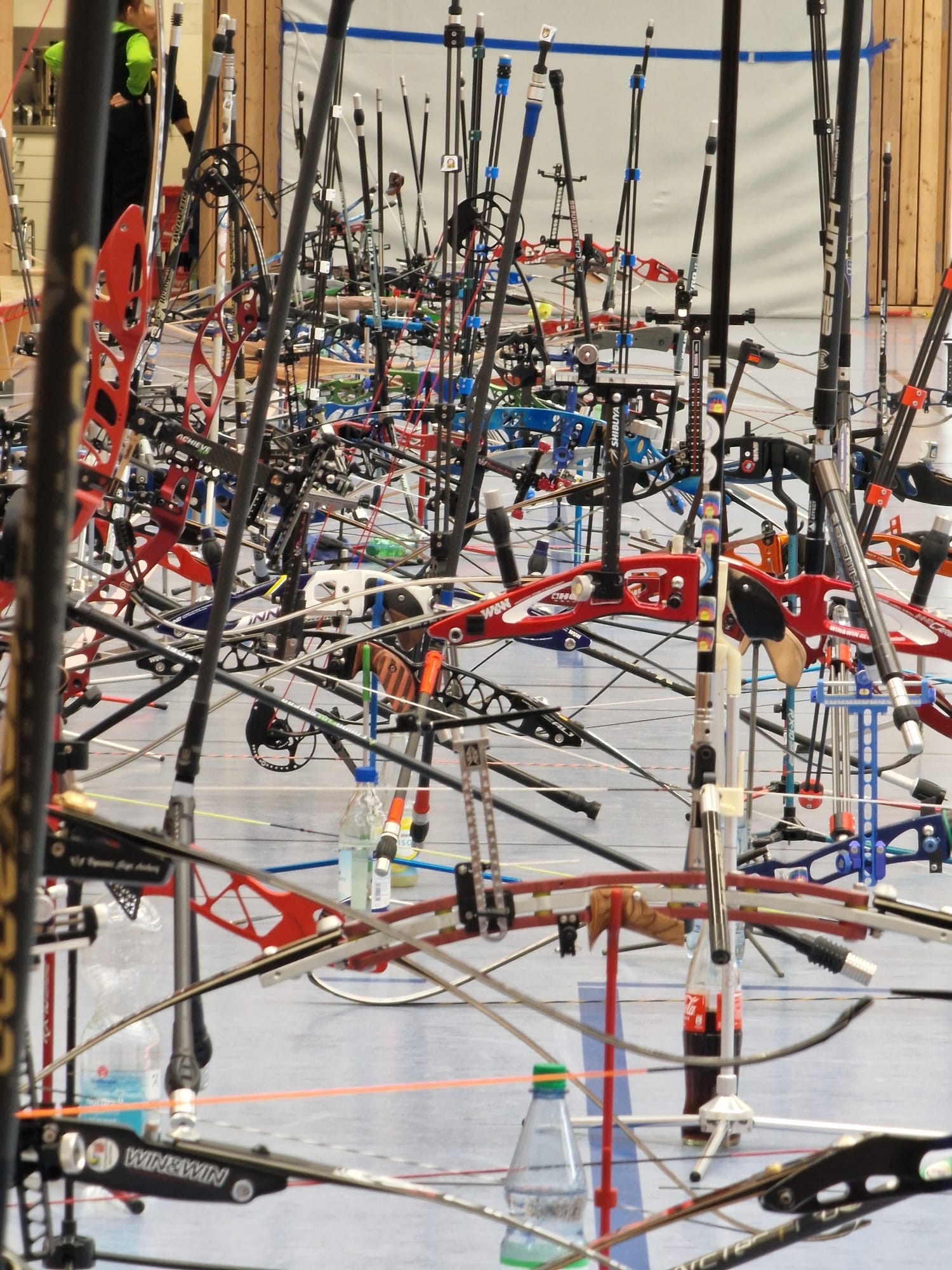 Limitzahlen für die Württembergischen Meisterschaften veröffentlicht – starke Qualifikationen für den BS Bietigheim